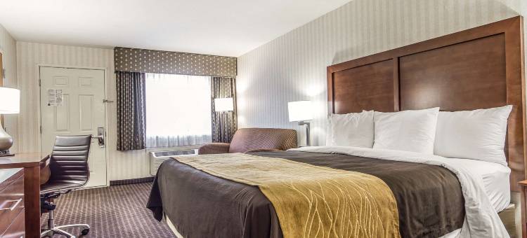品质酒店-半月湾/米拉马尔海滩(Quality Inn Half Moon Bay-Miramar Beach)图片