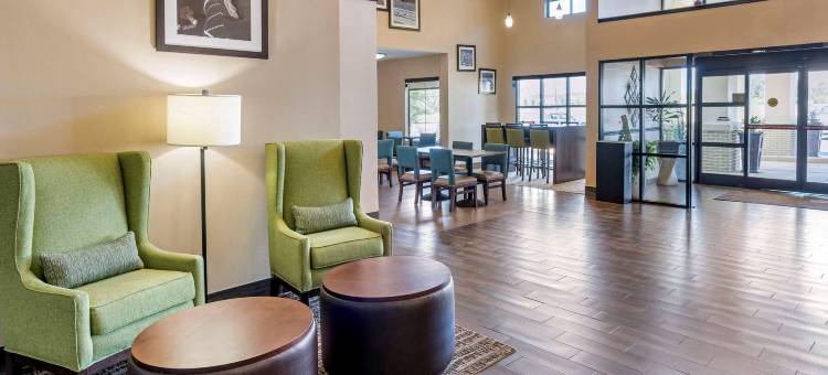 林肯I-20舒适套房酒店(Comfort Inn & Suites Lincoln I-20)图片