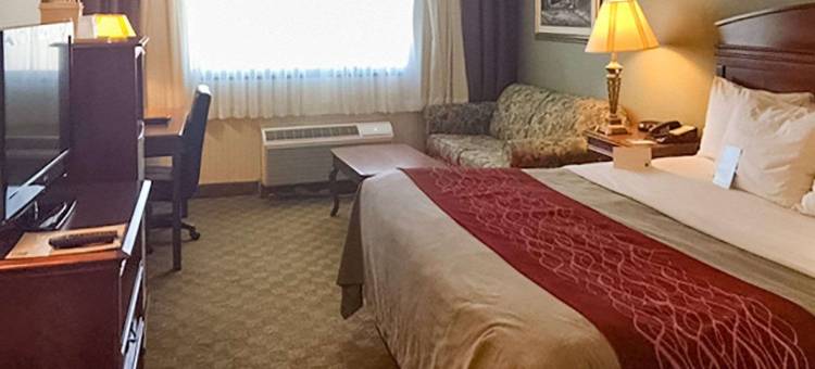 舒适酒店(Comfort Inn)图片