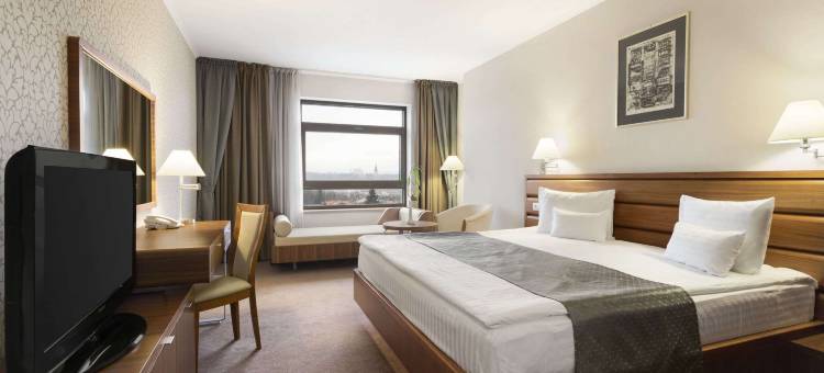 温德姆-克卢日酒店(Wyndham Cluj)图片