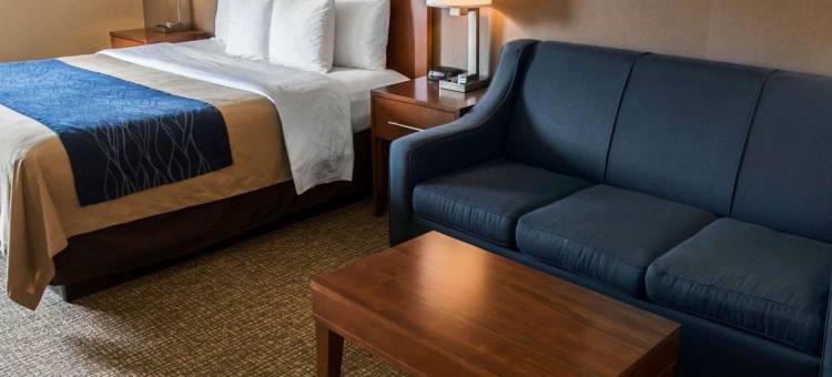 克里斯特尔莱克-阿尔冈金舒适酒店(Comfort Inn Crystal Lake - Algonquin)图片