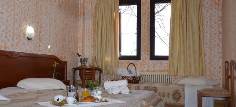 哈尼子思酒店(Hotel Hani Zisi)图片