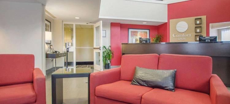 舒适酒店(Comfort Inn)图片