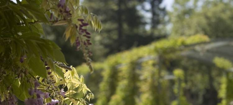 索诺玛葡萄酒之乡凯悦酒店(Hyatt Regency Sonoma Wine Country)图片