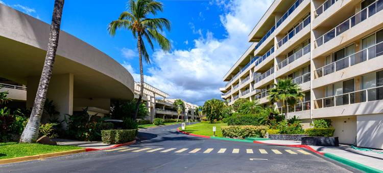毛伊班扬城堡(Castle at Maui Banyan)图片