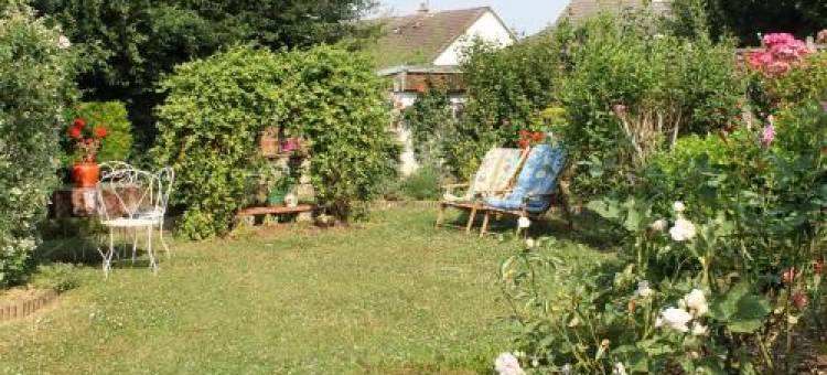 Chambre d'Hôtes "Orchidees"图片