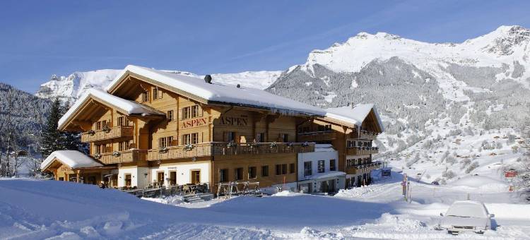 阿斯彭阿尔卑斯休闲酒店(Aspen Alpin Lifestyle Hotel)图片