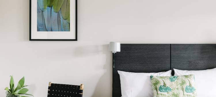 兰德维克维里耶酒店(Veriu Randwick)图片