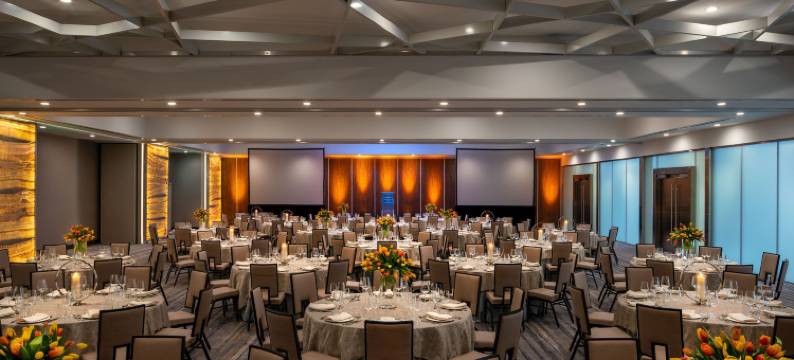 休斯顿威斯汀医疗中心-博物馆区(The Westin Houston Medical Center/Museum District)图片