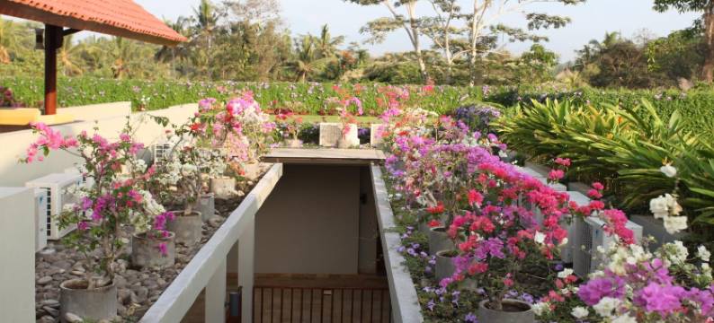 乌布瓦纳度假酒店(Ubud Wana Resort)图片