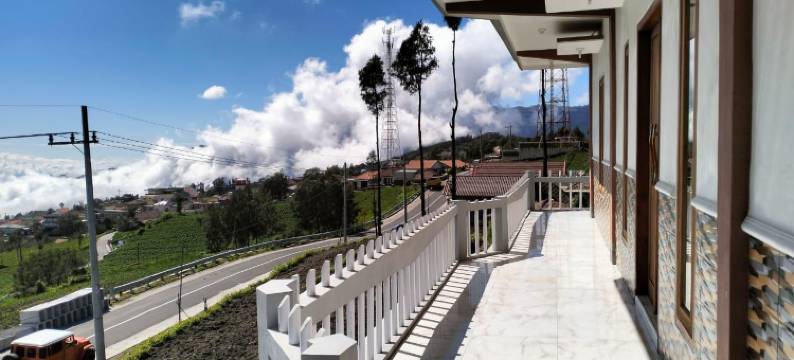 婆罗摩菊花客栈(Bromo Seruni Guesthouse)图片