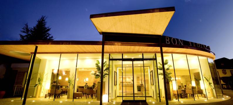 波恩阿尔卑斯饭店(Hotel Bon Alpina)图片