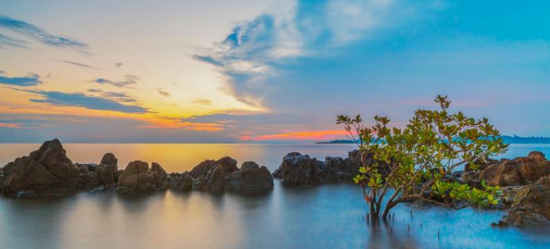 巴淡岛红多兹四季酒店(RedDoorz @ Cikitsu Batam)图片