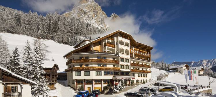 莎颂葛雷酒店(Hotel Sassongher)图片