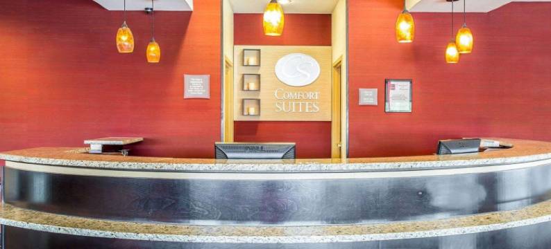 岩石丘曼彻斯特梅多斯区舒适套房酒店(Comfort Suites Rock Hill Manchester Meadows Area)图片