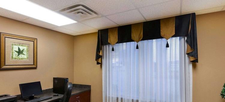 大学城舒适套房酒店(Comfort Suites University)图片