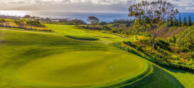 卡普鲁亚茂宜丽思卡尔顿度假村(The Ritz-Carlton Maui, Kapalua)图片
