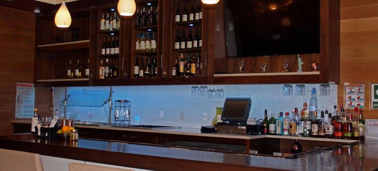 纽约曼哈顿中城东部希尔顿花园酒店(Hilton Garden Inn New York Manhattan Midtown East)图片