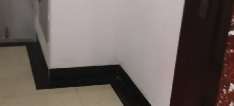 珲春豆喜儿家电梯百平公寓(东关路分店)图片