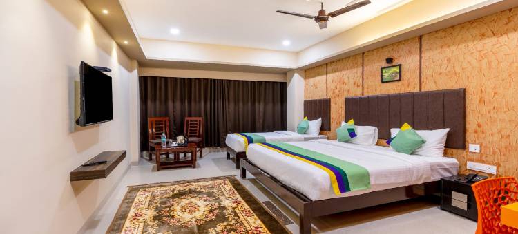 Treebo D Grand图片