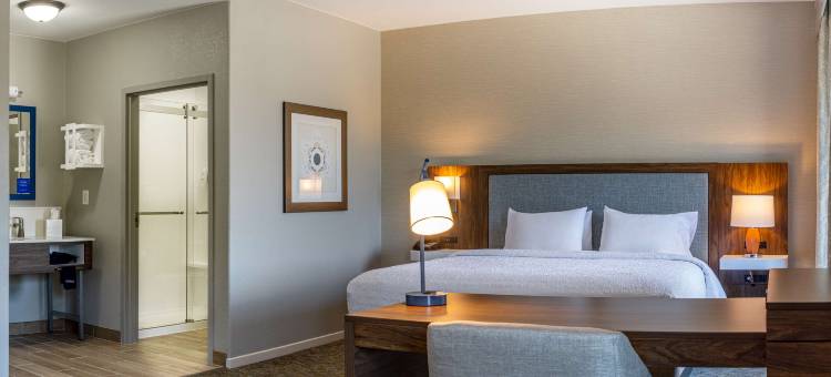 希尔顿欢朋套房酒店-伯尔尼(Hampton Inn & Suites Boerne)图片