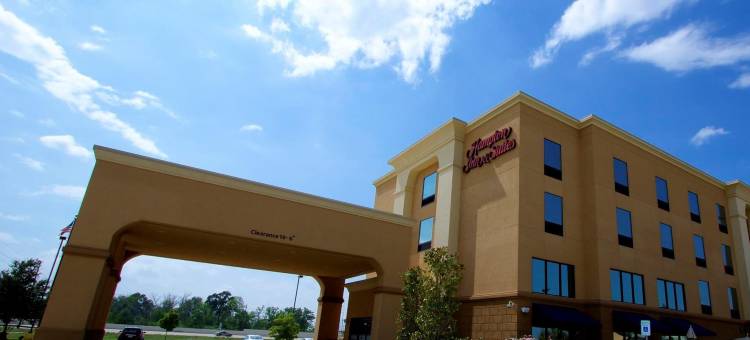 休斯顿西北汤博尔欢朋套房酒店(Hampton Inn & Suites by Hilton Tomball Houston NW)图片