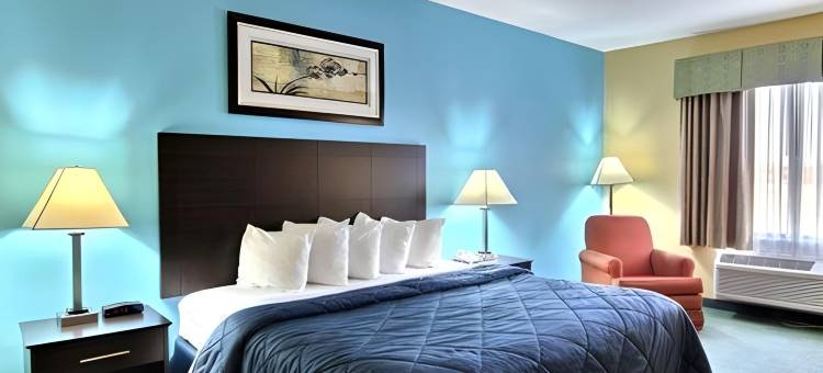 里奇菲尔德66号公路凯艺酒店(Quality Inn Litchfield Route 66)图片