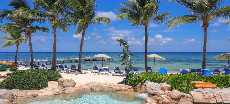 大开曼岛, 珊瑚礁沙滩度假村(The Reef Beach Resort, Grand Cayman)图片