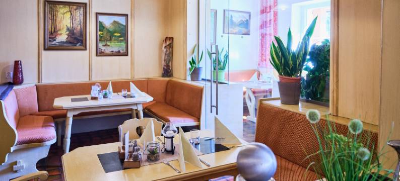 阿尔佩影响酒店的皮因茨高乐尔霍夫酒店(Hotel Pinzgauerhof by Alpeffect Hotels)图片