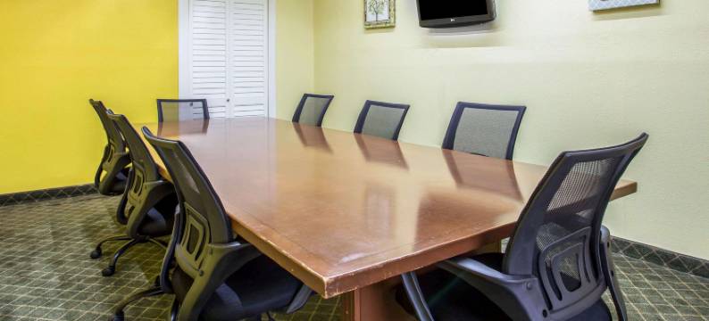 艾肯南克拉丽奥酒店及套房(Clarion Inn & Suites Aiken South)图片