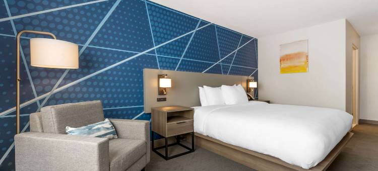 舒适酒店(Comfort Inn)图片