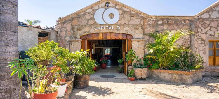 首都 O 瓜达拉哈拉特瑞萨西葡特色住宿酒店(Capital O Hotel Posada Terraza, Guadalajara)图片