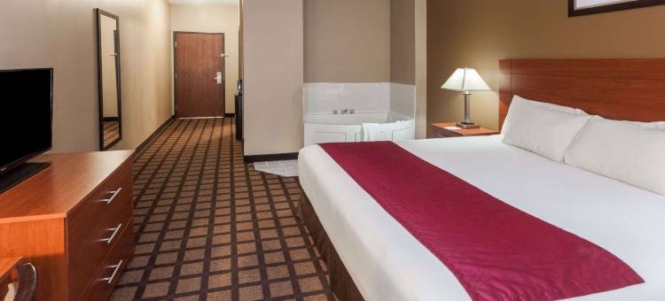 新布法罗温德姆呗盟酒店(Baymont by Wyndham New Buffalo)图片