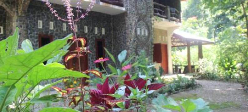 Rinte Green Village & Bukit Lawang Jungle Trekking图片