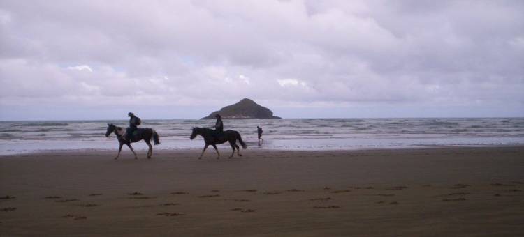 阿苏尔行路者汽车旅馆(Wayfarer Motel)图片