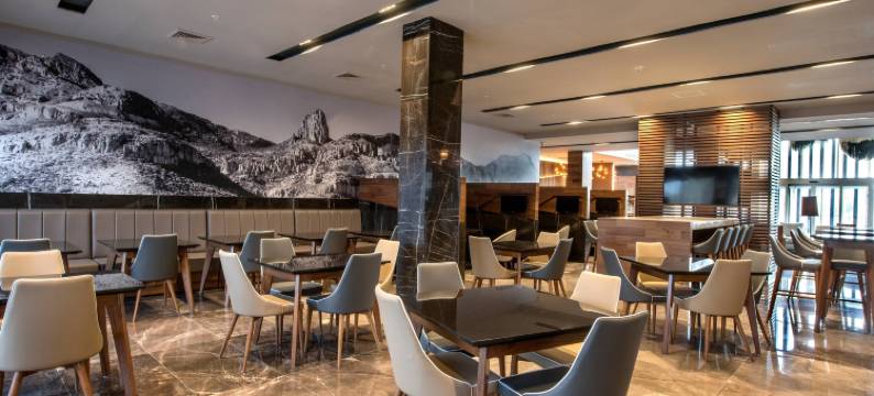 圣路易波托西洛斯拉戈斯万怡酒店(Courtyard San Luis Potosi, Los Lagos)图片