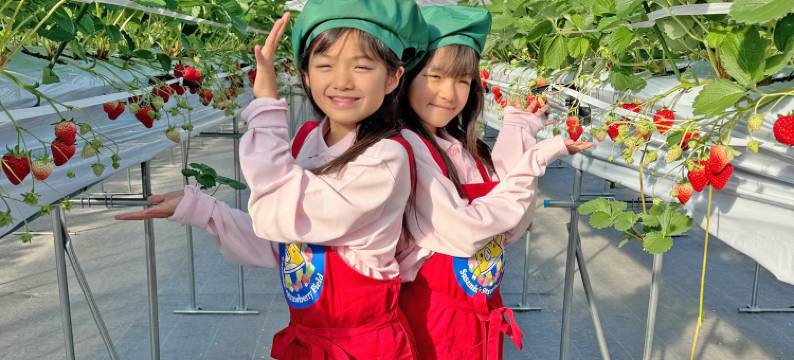 布莱维德利酒店(Hotel Bellevedere)图片