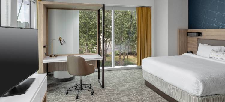 格林维尔市区万豪SpringHill Suites酒店(SpringHill Suites Greenville Downtown)图片