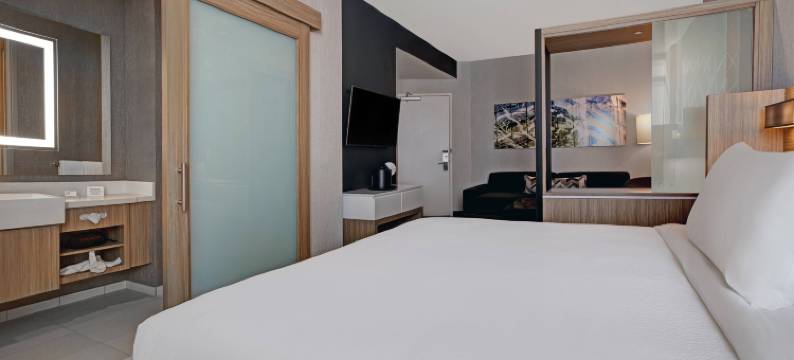 Marriott Franklin Cool Springs的SpringHill套房(SpringHill Suites Franklin Cool Springs)图片