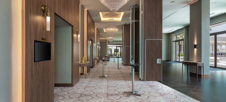 阿布扎比华纳兄弟世界主题乐园希尔顿格芮精选酒店(The WB Abu Dhabi Hotel, Curio Collection by Hilton)图片