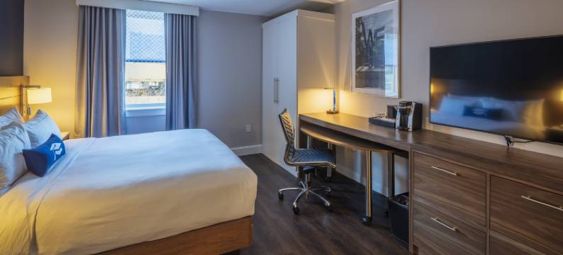 学者州立学院酒店-希尔顿启缤精选酒店(Scholar State College, Tapestry Collection by Hilton)图片