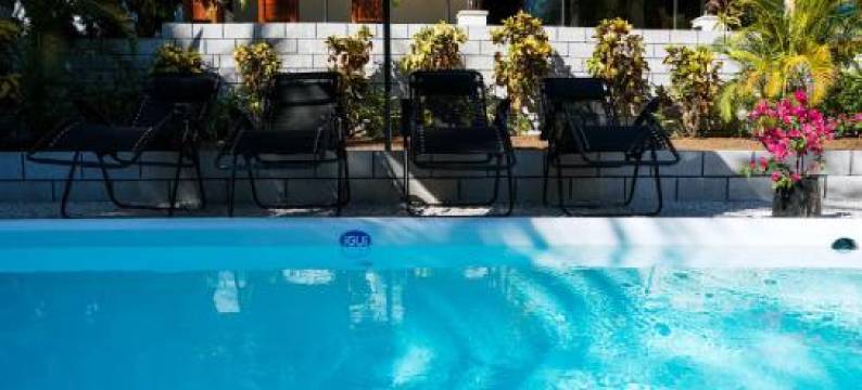 House in the Palm Forest图片