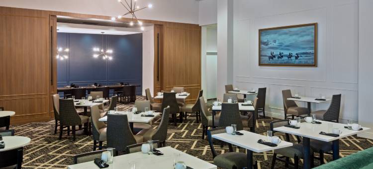 希尔顿彭尼韦尔圣路易斯拱门酒店(Hilton Pennywell St. Louis at the Arch)图片