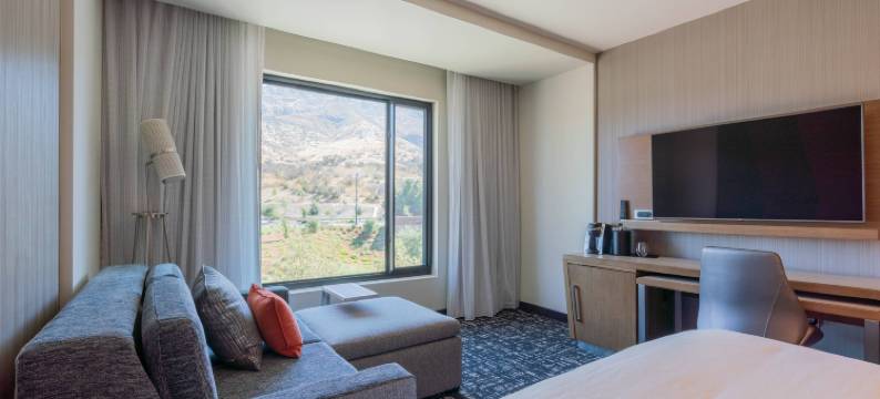 千橡阿古拉山万豪万怡酒店(Courtyard Thousand Oaks Agoura Hills)图片