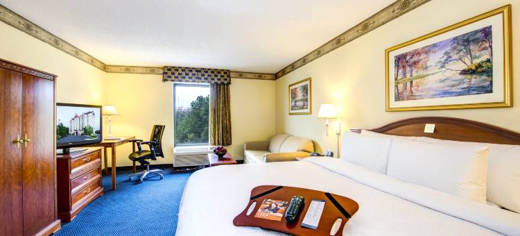 欢朋酒店加亚特兰大广场套房(Hampton Inn & Suites Atlanta-Galleria)图片
