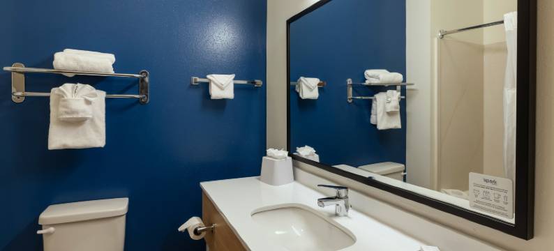 萨凡纳机场福朋喜来登酒店(Spark by Hilton Savannah Airport)图片