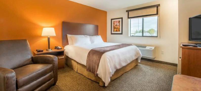 芝加哥西北奥罗拉我的地方酒店(My Place Hotel-Chicago West/North Aurora, IL)图片