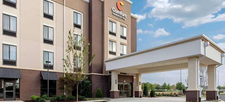 金斯顿中心舒适套房酒店(Comfort Suites Kingston Central)图片