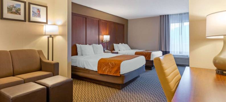 南港舒适套房酒店-I-96附近(Comfort Suites South Haven Near I-96)图片