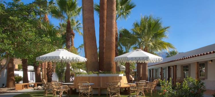 棕榈泉潜水酒店(Dive Palm Springs)图片